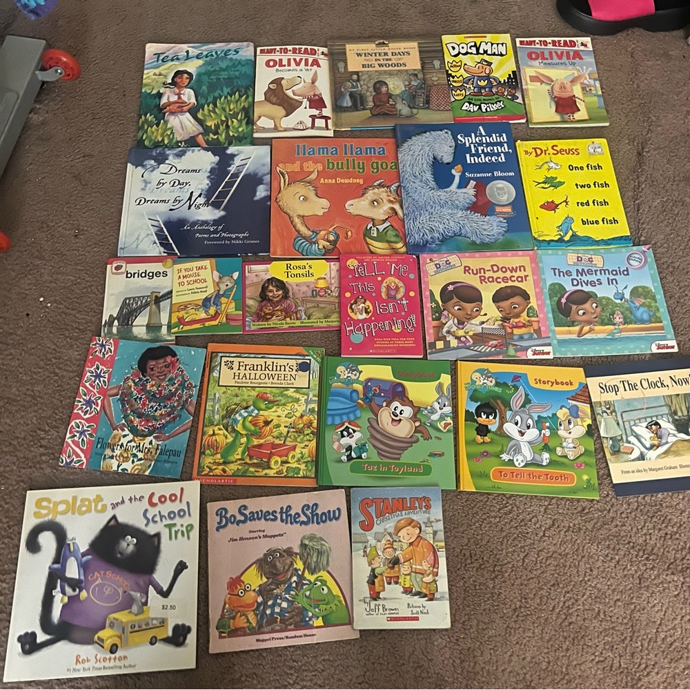 MEGA Children’s book bundle